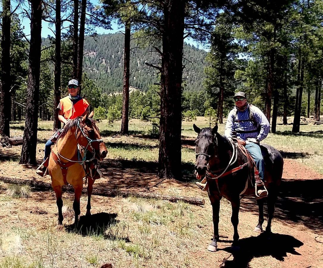 Grand Canyon 1Bd Loft/Suite-Horseback Riding-Shooting-Dogs Ok! Parks Exterior foto